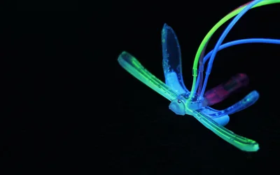 Soft Robotic Dragonfly Signals Environmental Disruptions