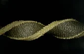 Soft and stretchy fabric-based sensors for wearable robots