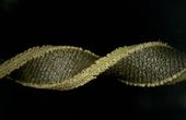 Soft and stretchy fabric-based sensors for wearable robots