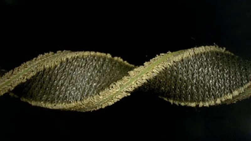 Soft and stretchy fabric-based sensors for wearable robots