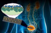 Skin-like sensor monitors internal, external body movement, electrical signals
