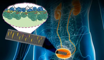 Skin-like sensor monitors internal, external body movement, electrical signals