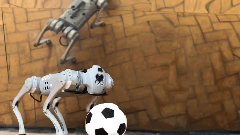 Researchers created DribbleBot, a system for in-the-wild dribbling on diverse natural terrains including sand, gravel, mud, and snow using onboard sensing and computing. In addition to these football feats, such robots may someday aid humans in search-and-rescue missions. Photo: Mike Grimmett/MIT CSAIL