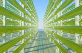 Turning carbon pollution into ethanol
