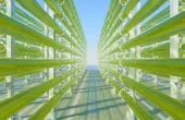 Turning carbon pollution into ethanol
