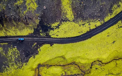 A deep dive into the carbon footprint of alternative fuel vehicles