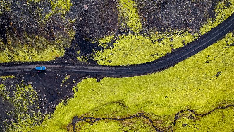 A deep dive into the carbon footprint of alternative fuel vehicles