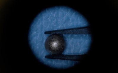 Magnetic sensors track muscle length