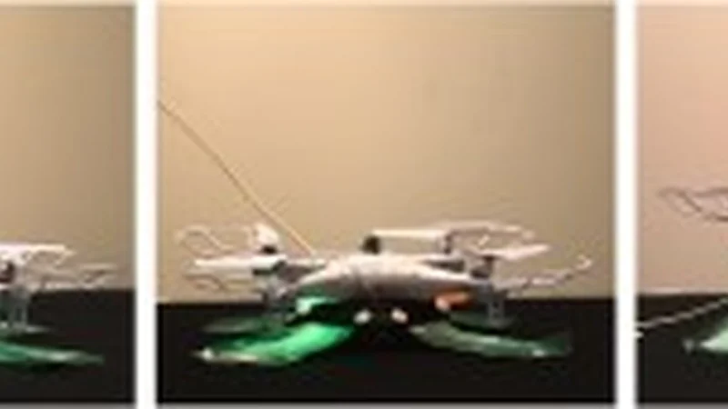 This drone’s landing gear is tuned the stiffness and damping to absorb the impact of landing. (Image courtesy of Yashraj Narang/Harvard SEAS) 