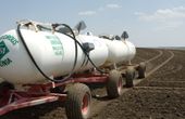 Greener Pastures: Better Ammonia Production for a More Sustainable Future