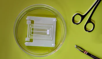 Engineers design flexible "skeletons" for soft, muscle-powered robots
