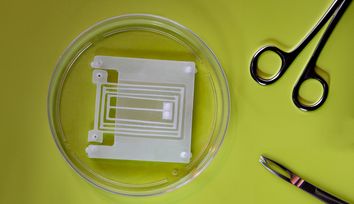 Engineers design flexible "skeletons" for soft, muscle-powered robots