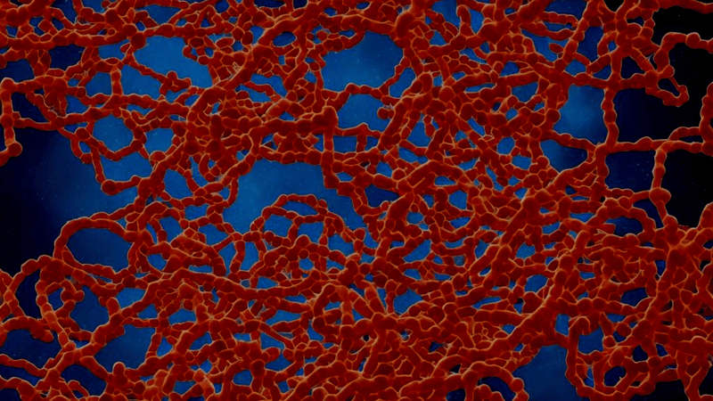 Language models outside language. Image generated by Stable Diffusion.