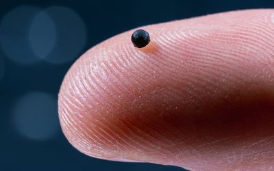 Microrobots finding their way