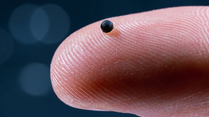 This is how small the latest ETH microrobot is. (Image: Luca Donati / ETH Zurich)