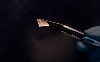 Silicon Chips on the Brain: Researchers Announce a New Generation of Brain-Computer Interface