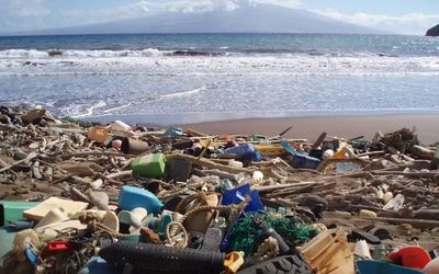 AI to spark new recyclable plastics design