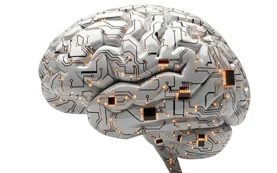 Cornell researchers teach'microwave brain' a new language