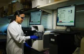 Dynamic simulation and optimization of anaerobic digestion processes using MATLAB