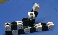 0.9f614d5xk75MTRAN3 Modular Robot
