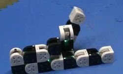 0.9f614d5xk75MTRAN3 Modular Robot