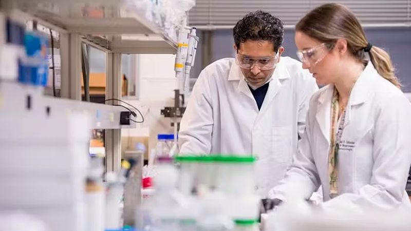 Pankaj Karande, left, and Carolina Catarino, right
