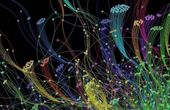 The Art and Science of Benchmarking Neural Network Architectures