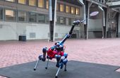 Playing badminton against a robot