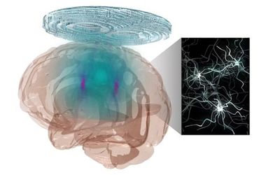 New technology allows researchers to precisely, flexibly modulate brain