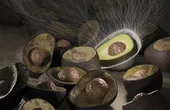 Food-packaging system reduces health risks and saves food