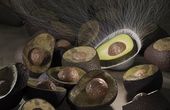Food-packaging system reduces health risks and saves food