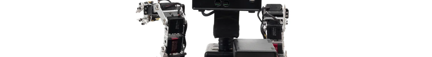 banner image