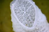 Researchers capture nanoparticle movements to forge new materials