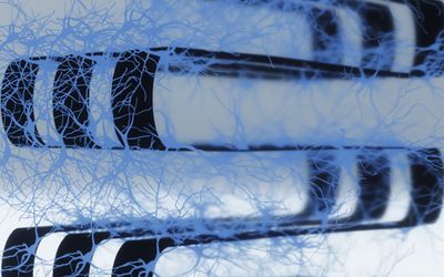 New 3D device harnesses living brain cells for computing