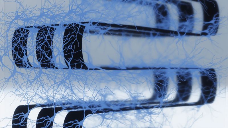 New 3D device harnesses living brain cells for computing