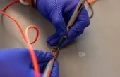 Overcoming the body's oxygen gap in cell-based therapies