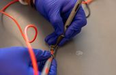 Overcoming the body's oxygen gap in cell-based therapies