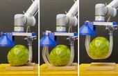 Vine-inspired robotic gripper gently lifts heavy and fragile objects