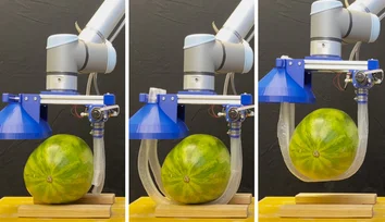 Vine-inspired robotic gripper gently lifts heavy and fragile objects