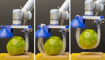 Vine-inspired robotic gripper gently lifts heavy and fragile objects