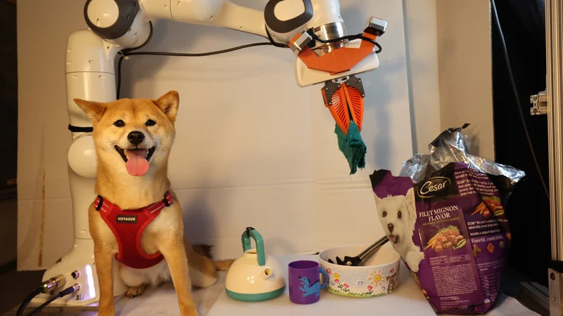 Researchers filmed multiple instances of a robotic arm feeding co-author Jialiang Zhao's adorable dog, Momo. The videos were included in datasets to train the robot. Image: Courtesy of the researchers