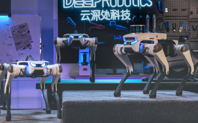 Quadruped robot with advanced front flipping mobility