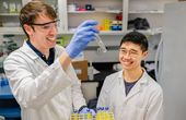 The proteins that could turn corn stalks into fuel