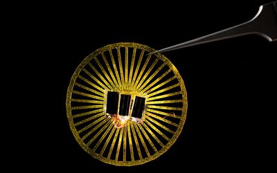 Podcast: Size Matters: Tiny Biomimicry Leads to Big Breakthroughs