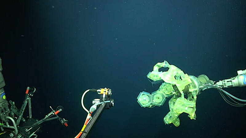 Research demonstrates success of new technology in conducting deep-sea research on fragile organisms