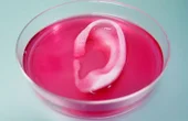 3D Printing Human Tissue... Coming Soon To A Hospital Near You