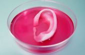 3D Printing Human Tissue... Coming Soon To A Hospital Near You