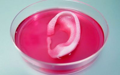 3D Printing Human Tissue... Coming Soon To A Hospital Near You