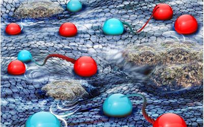 Researchers Explore a Hydrodynamic Semiconductor Where Electrons Flow Like Water