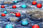 Researchers Explore a Hydrodynamic Semiconductor Where Electrons Flow Like Water
